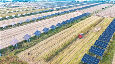 1761528867294006zEh5.jpeg eba9fb45f669c7979c2e0850a8ef31aa_da4a7ed3-20a4-4566-a90e-3cef0b0530b3.JPEG