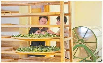 1761699547124073N8C4.jpg 2222.jpg