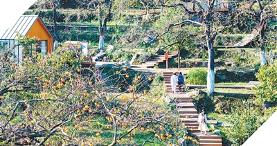 1761787927922759ywbq.jpg 111.jpg